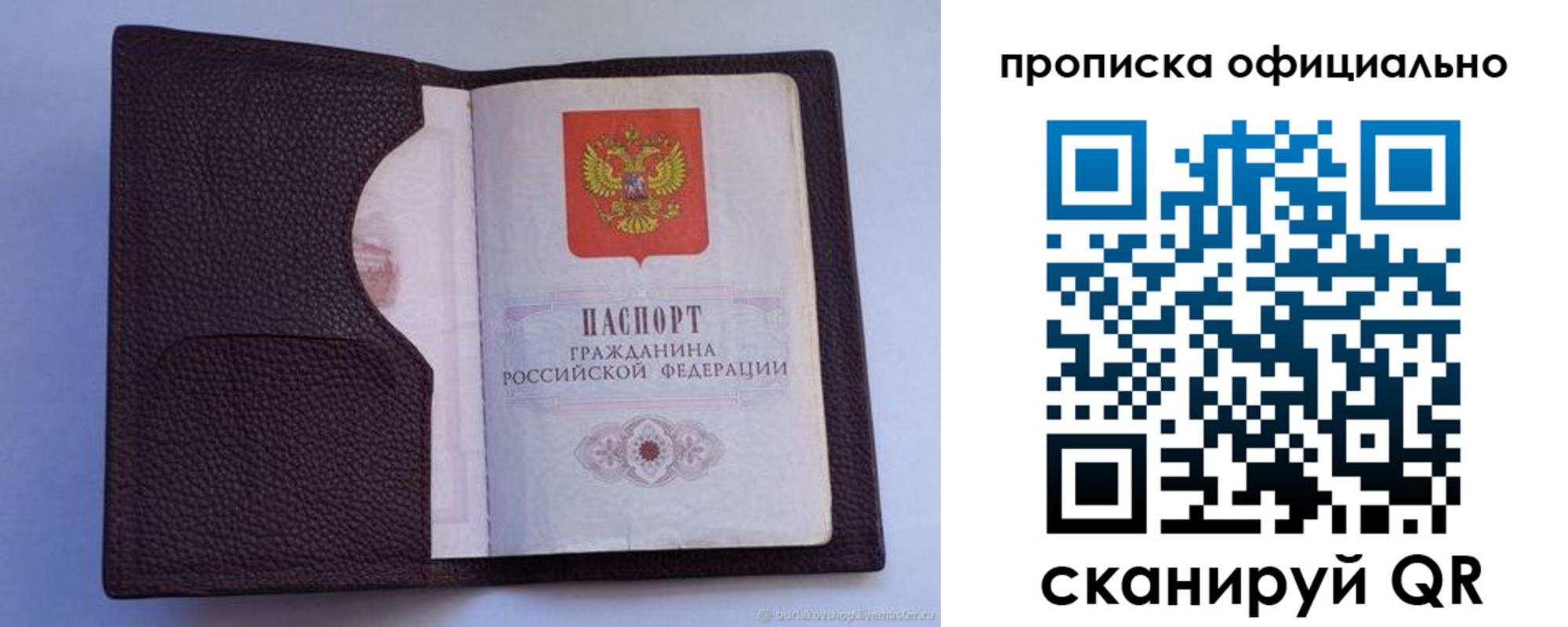 купить прописку в Ростовской области
